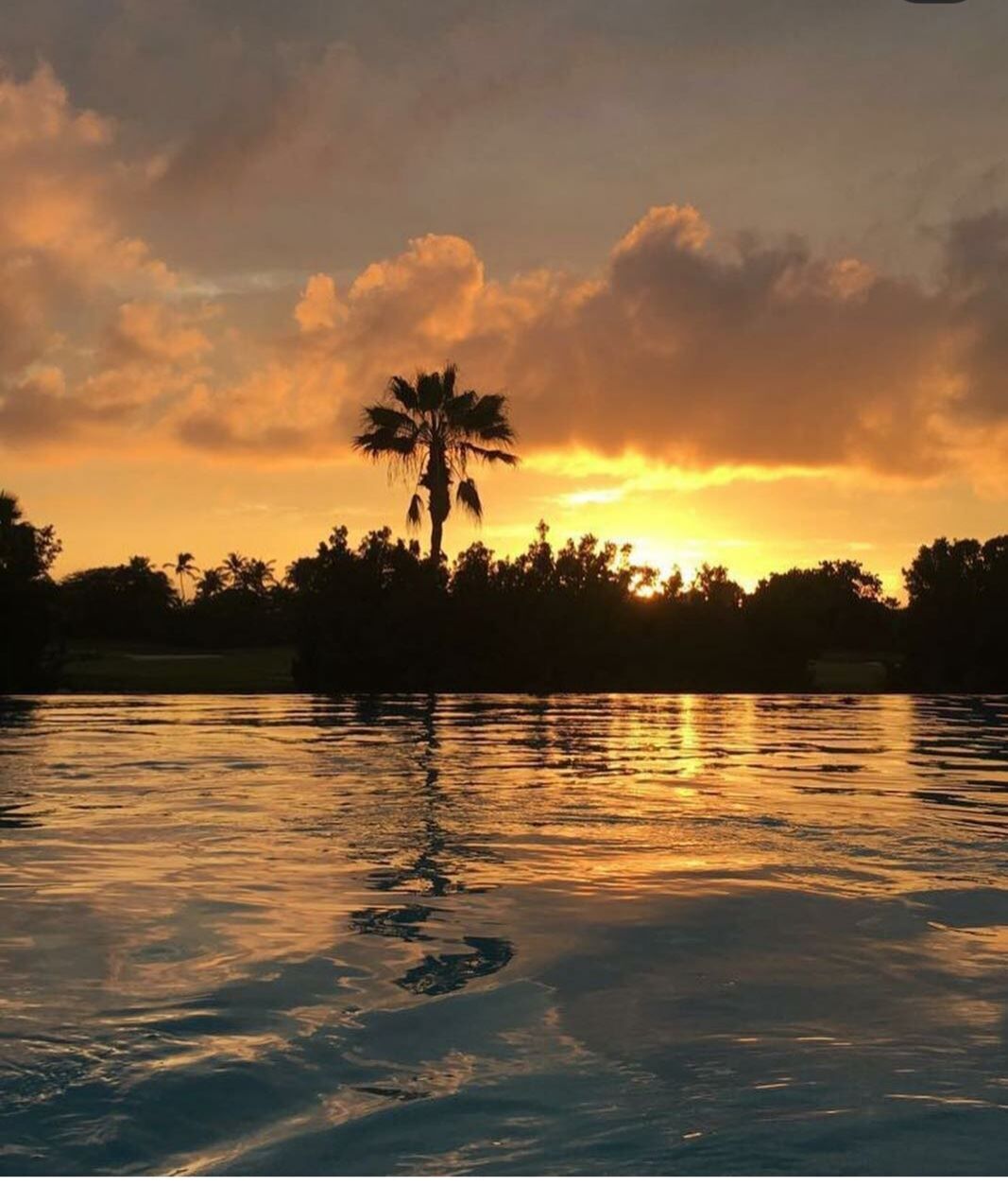 Paradise